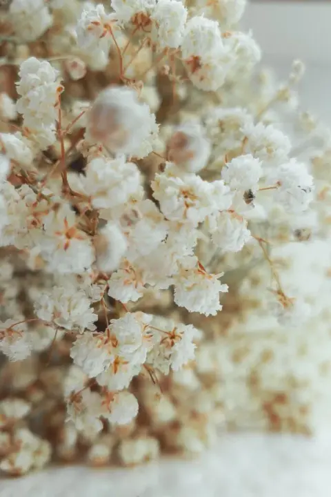 Abat-jour con rete e fiori secchi