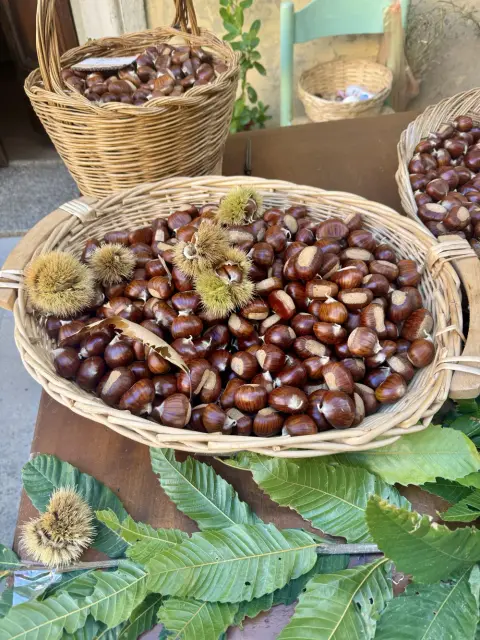 Sagra del Marrone di Rivalto