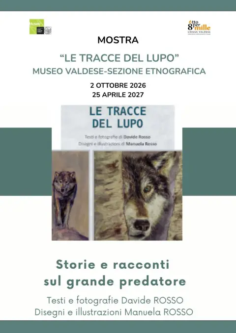 Le tracce del lupo
