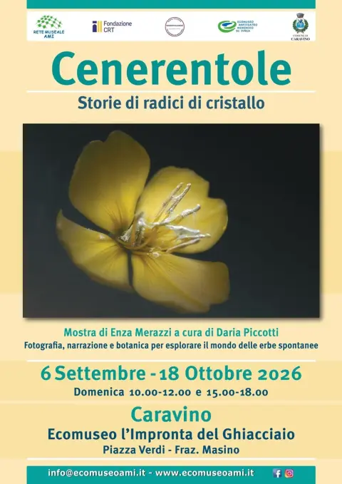 Cenerentole - Storie di radici di cristallo
