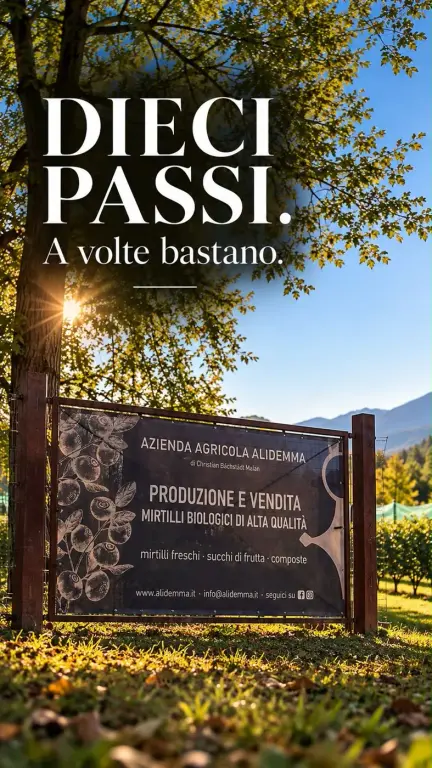 Dieci Passi